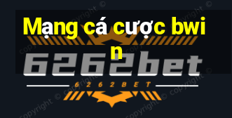 Mạng cá cược bwin