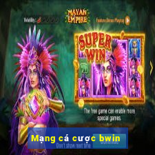 Mạng cá cược bwin