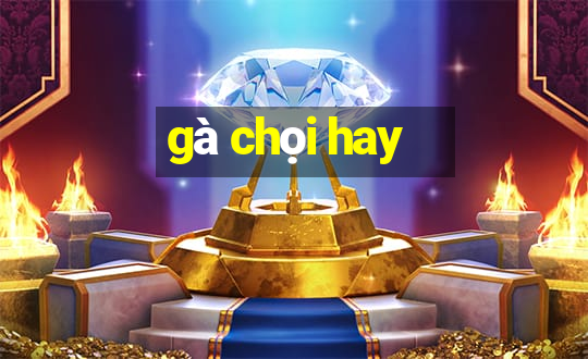 gà chọi hay