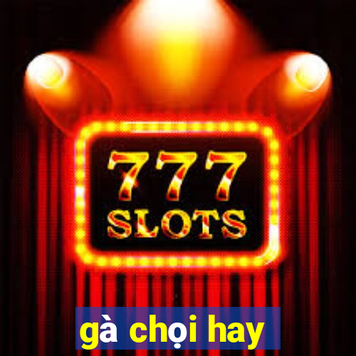 gà chọi hay