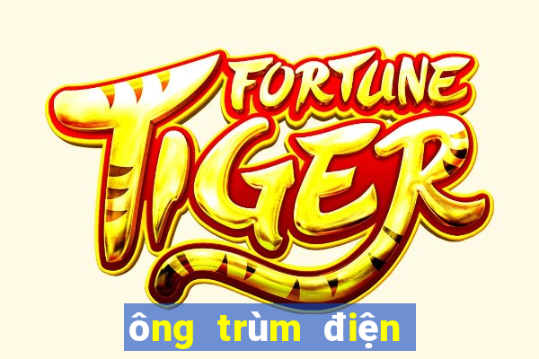 ông trùm điện tử sài gòn la ai