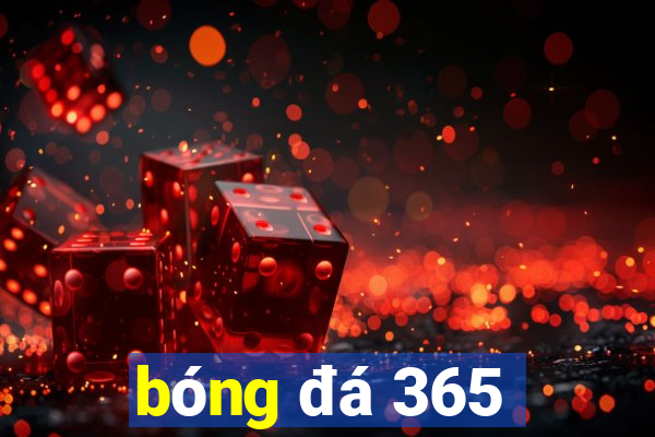 bóng đá 365