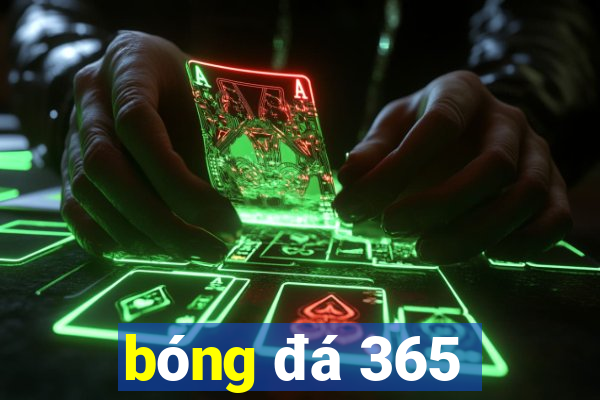 bóng đá 365