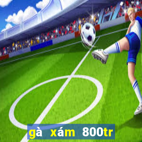 gà xám 800tr phúc bình dương