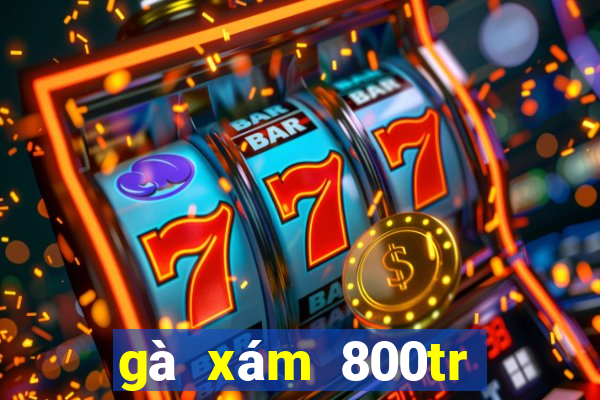 gà xám 800tr phúc bình dương