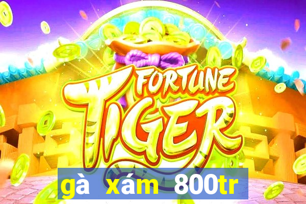 gà xám 800tr phúc bình dương