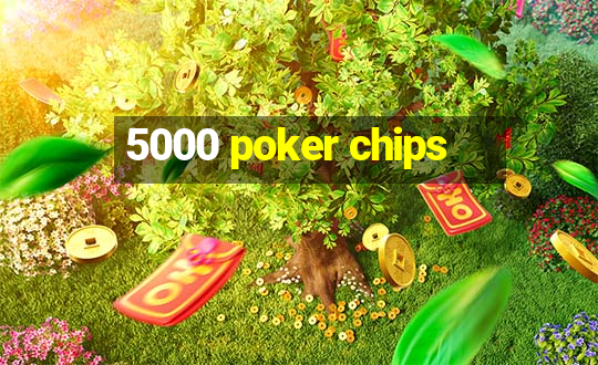 5000 poker chips