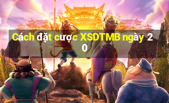 Cách đặt cược XSDTMB ngày 20