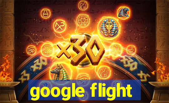 google flight