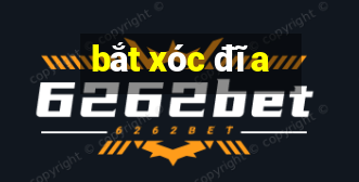 bắt xóc đĩa