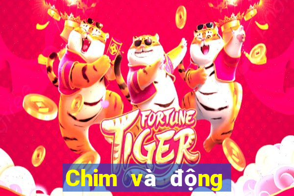 Chim và động vật trực tuyến