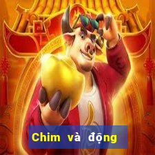 Chim và động vật trực tuyến