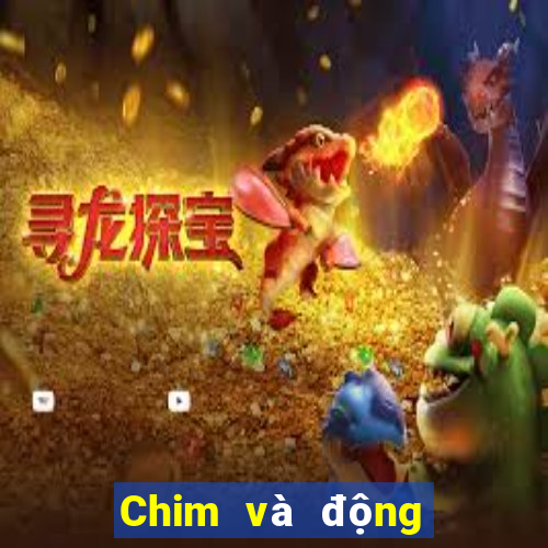 Chim và động vật trực tuyến