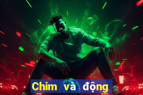 Chim và động vật trực tuyến