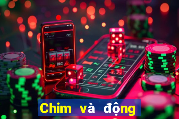 Chim và động vật trực tuyến