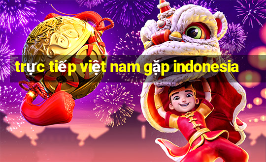 trực tiếp việt nam gặp indonesia