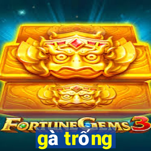 gà trống