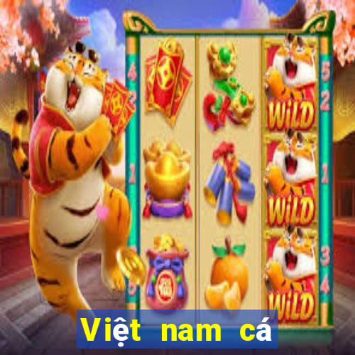 Việt nam cá bóng trò chơi 2017