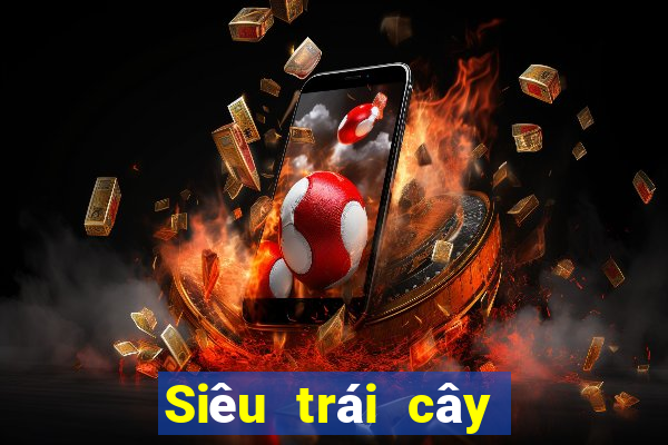 Siêu trái cây La Pa 25 dòng