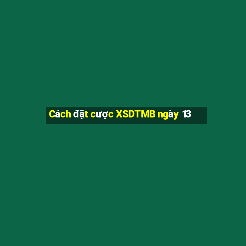 Cách đặt cược XSDTMB ngày 13