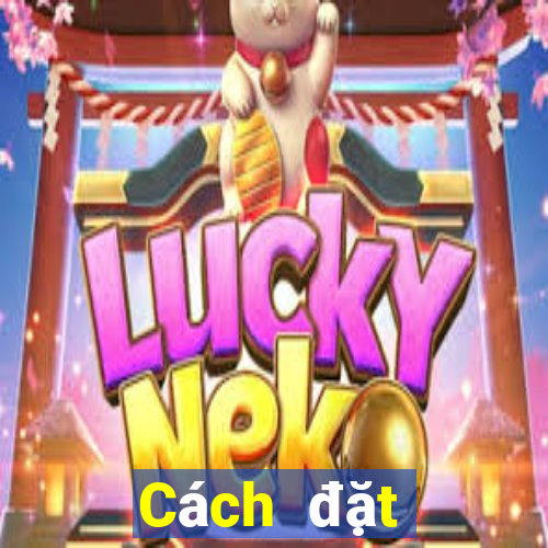 Cách đặt cược XSDTMB ngày 13