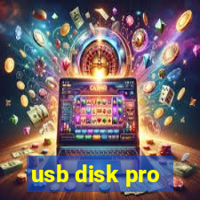 usb disk pro