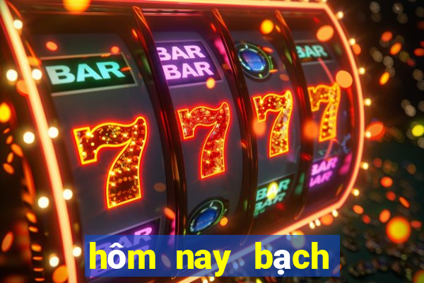 hôm nay bạch thủ lô con gì