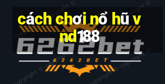 cách chơi nổ hũ vnd188