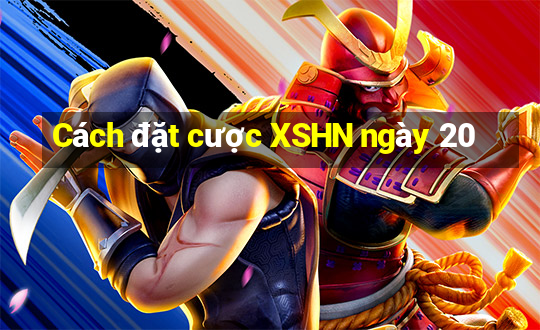 Cách đặt cược XSHN ngày 20