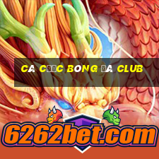 cá cược bóng đá club