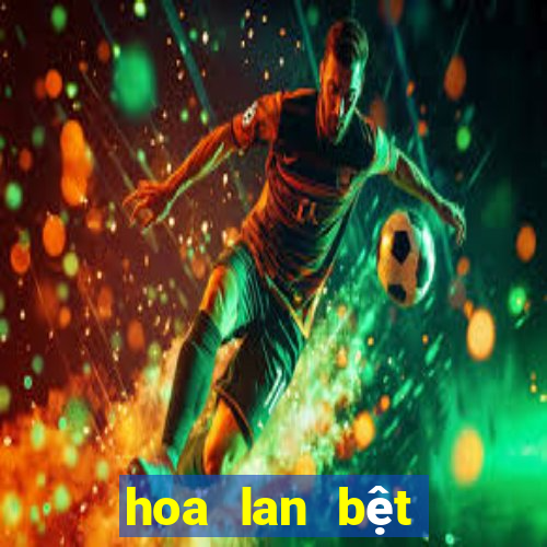 hoa lan bệt châu như