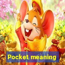 Pocket meaning