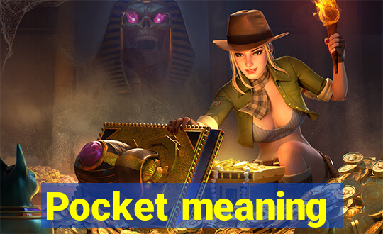 Pocket meaning