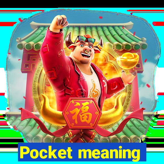 Pocket meaning