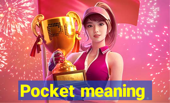 Pocket meaning