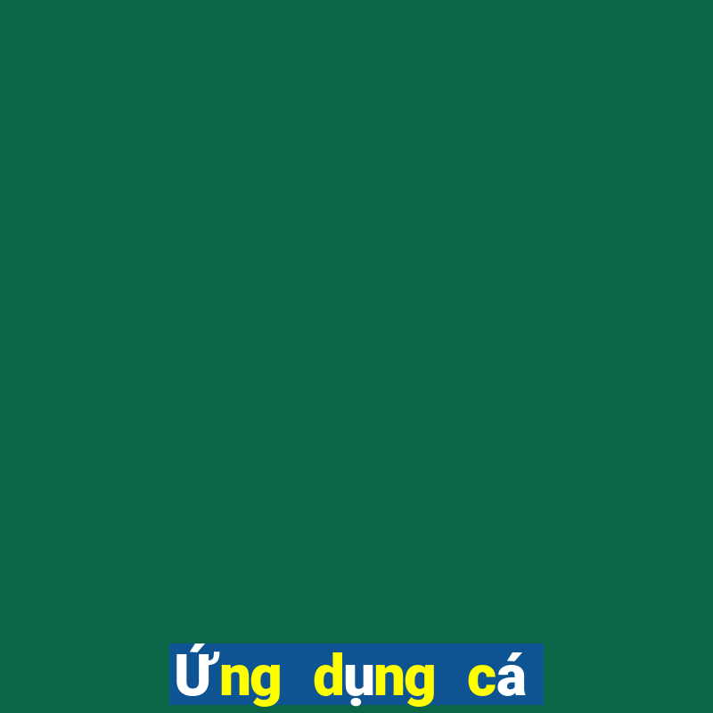 Ứng dụng cá cược bóng đá nào tốt hơn?