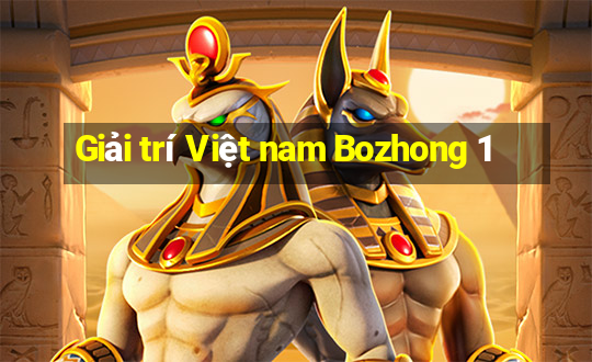 Giải trí Việt nam Bozhong 1