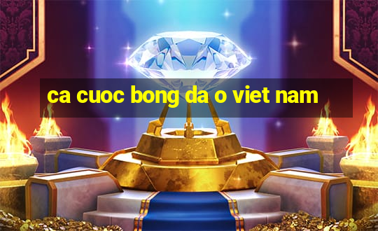 ca cuoc bong da o viet nam