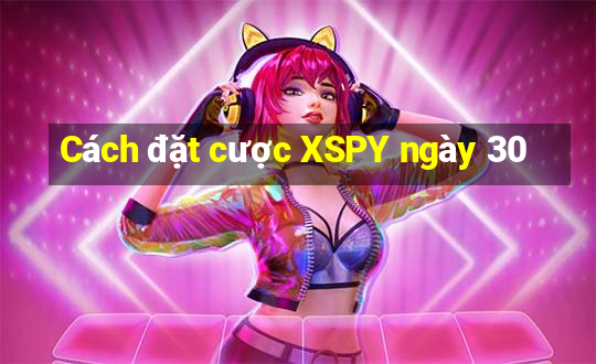 Cách đặt cược XSPY ngày 30