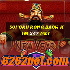 soi cau rong bach kim 247 net