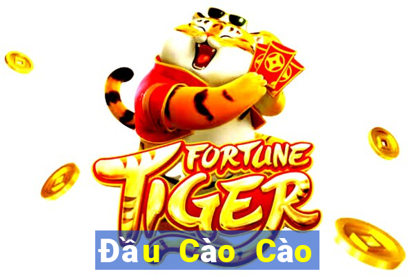 Đầu Cào Cào Cào xổ số