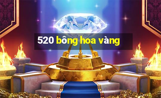 520 bông hoa vàng