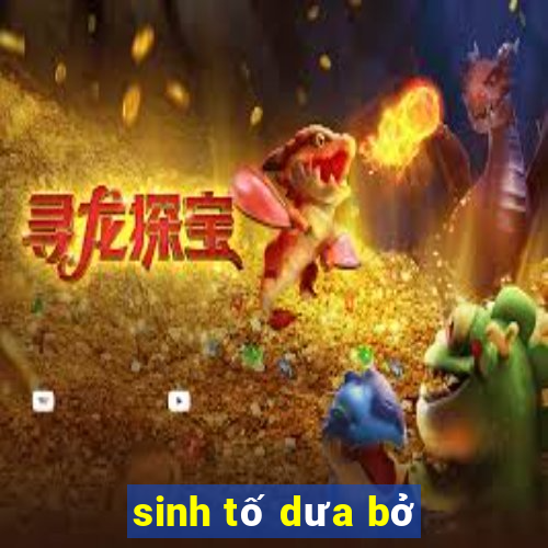 sinh tố dưa bở