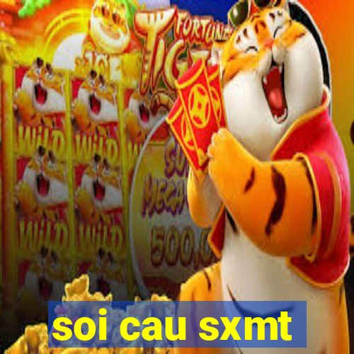 soi cau sxmt