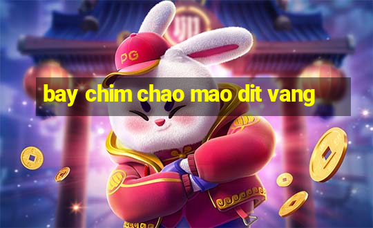 bay chim chao mao dit vang