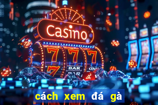 cách xem đá gà thomo trực tiếp