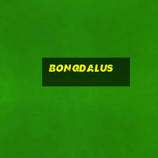 bongdalus