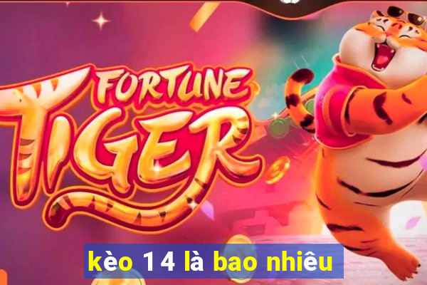 kèo 1 4 là bao nhiêu