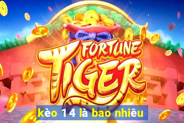 kèo 1 4 là bao nhiêu