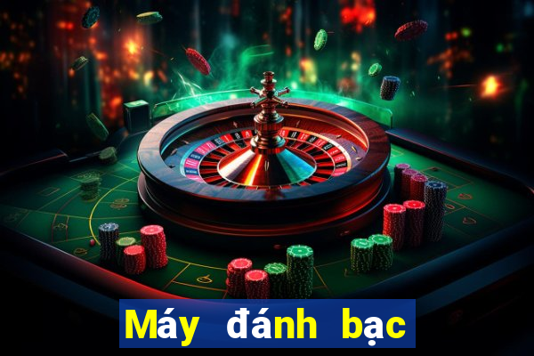 Máy đánh bạc Chuột Báu